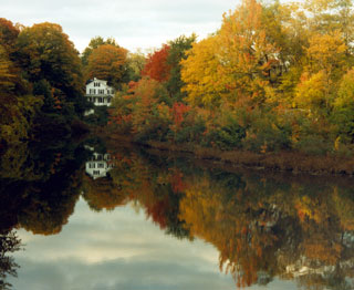 Swan’s Paper Mill