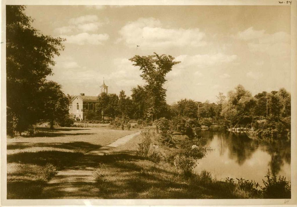 Postcard of Binney Park