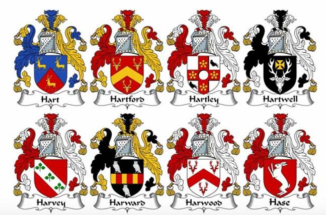 Steigner Name Meaning, Family History, Family Crest & Coats of Arms