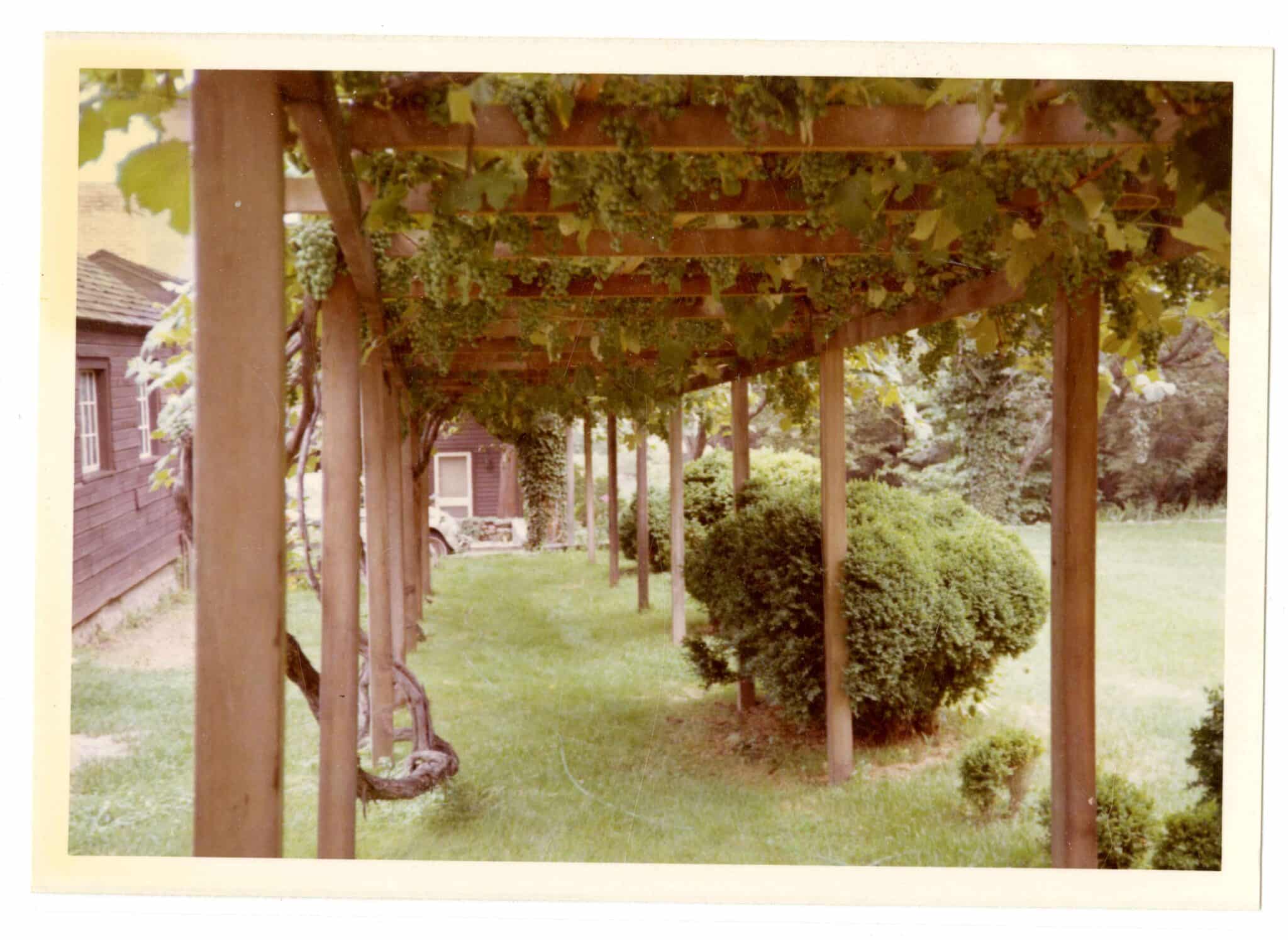 Harvesting and Preserving Keeping the Gardens Alive at BushHolley