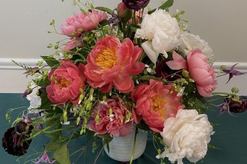 GHS PEONY 2023