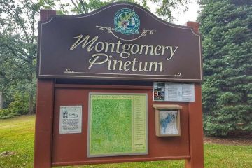 Montgomery-pinetum