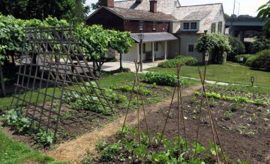War_garden_at_Bush_Holley Re-creation of a